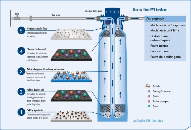 Filtre universel anticalcaire pour machines à café - BWT BestSave S -  Capacité 50L - BWT Water+more - ALP008227